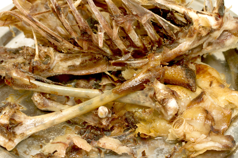 waste disposal Waste